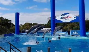 Imagen de Aquarium de Mar del Plata cerrará definitivamente: los motivos y qué pasará con los animales