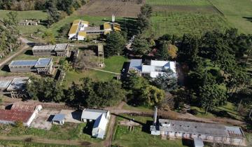 Imagen de Dolores: volvió para saldar la deuda con la Cooperadora de su escuela, 27 años después
