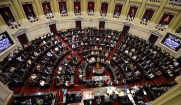 Imagen de Diputados y senadores congelaron sus sueldos y dietas por 180 días