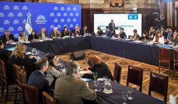 Imagen de Ley de Zona Fría: el gobierno nacional quedó cerca de aprobar la reducción de los subsidios al gas en la Provincia