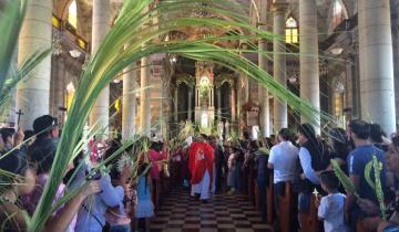 Imagen de Por qué se celebra el Domingo de Ramos y qué significado tiene la bendición del olivo