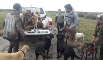 Imagen de Cuatro hombres fueron infraccionados por cazar en un campo de General Madariaga