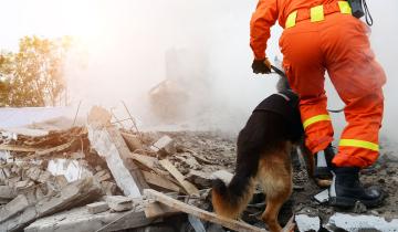 Imagen de Día Nacional de la Defensa Civil: por qué se celebra hoy 23 de noviembre