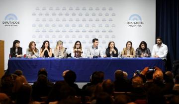 Imagen de Zona Fría: intendentes y legisladores bonaerenses llevaron al Congreso el reclamo para frenar el proyecto del gobierno nacional