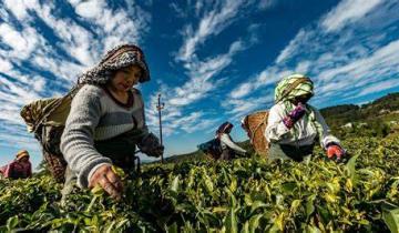 Imagen de Científicas de Conicet y la UNR ponen en valor el trabajo de las mujeres rurales